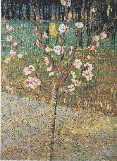 Vincent Van Gogh Flowering almond tree China oil painting art